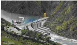 ������Ͳ��ǧ����Ƶ��ý��:��������۵���15����� ��ֳ��1ͷ��300Ԫ...