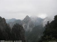 �����۾�͸���齫����Ƶ��Ƶ���м�ί4��ͨ������719�� 9��Ϊ��Ƽ����¸ɲ�...